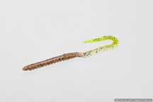 Zoom U-Tail 6in 20/bag Pumpkin/Chartreuse Tail