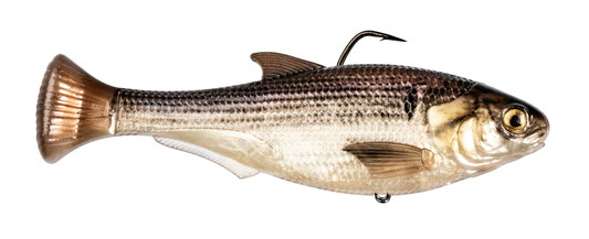 Z-MAN Shadtron LT4.5in. Fast Sink Gizzard Shad