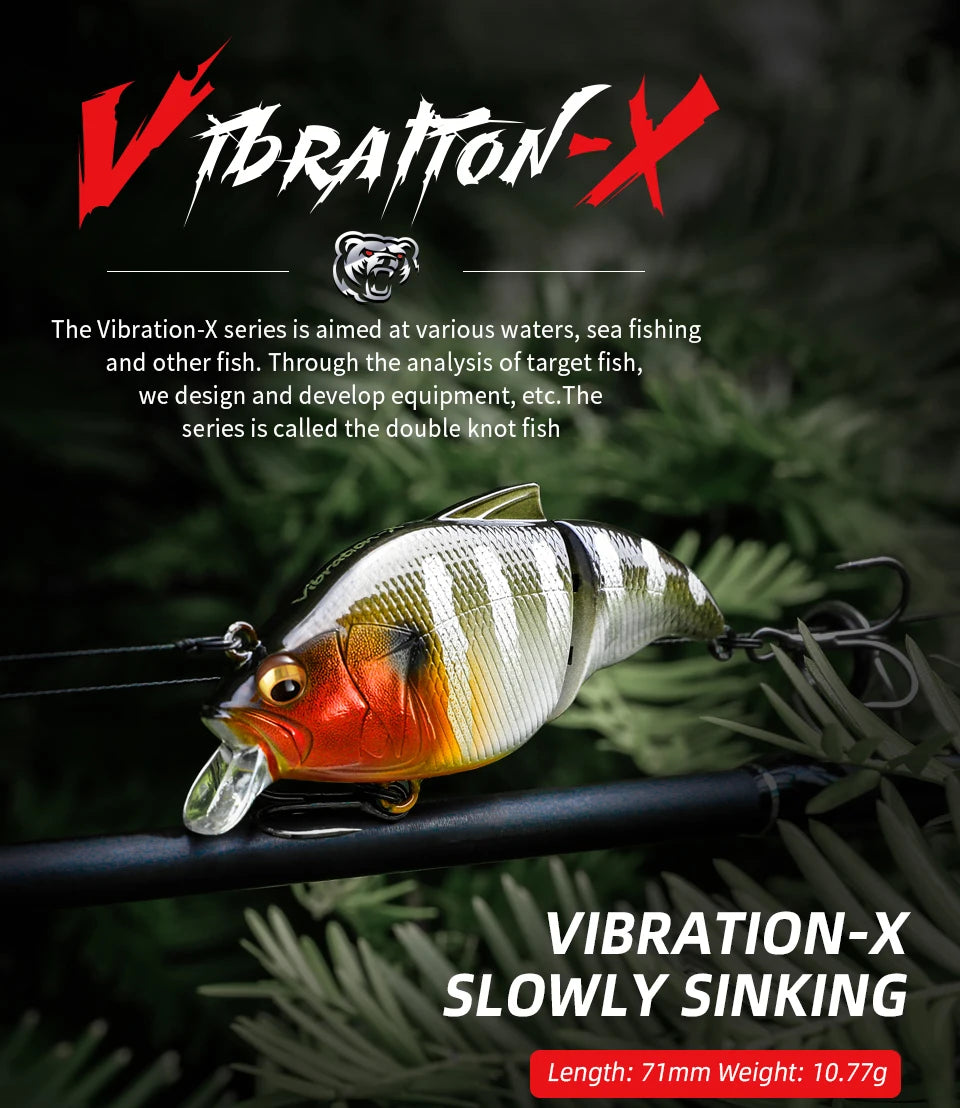 BEARKING Vibration X