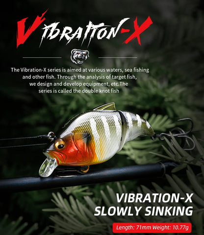 BEARKING Vibration X