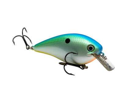 Strike King KVD Magnum Square Bill 4in 7/8oz Citrus Shad
